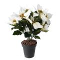 Poinsettia Artificiel 9 Fleurs Crème