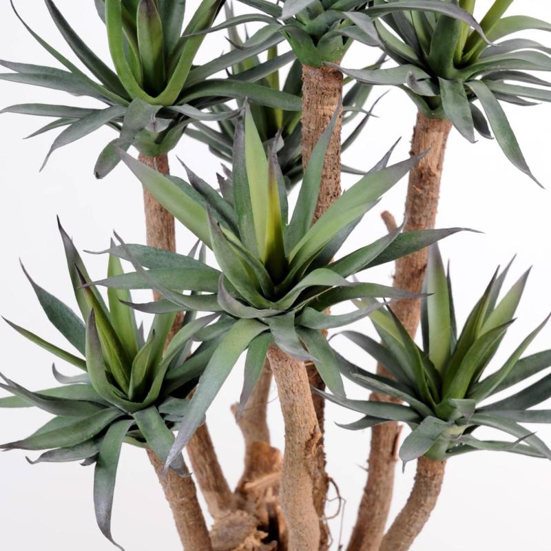 Agave*7 Artificielle