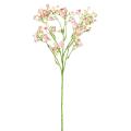 Myosotis Artificielle Mini