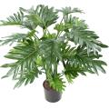 Philodendron Artificiel Selloum