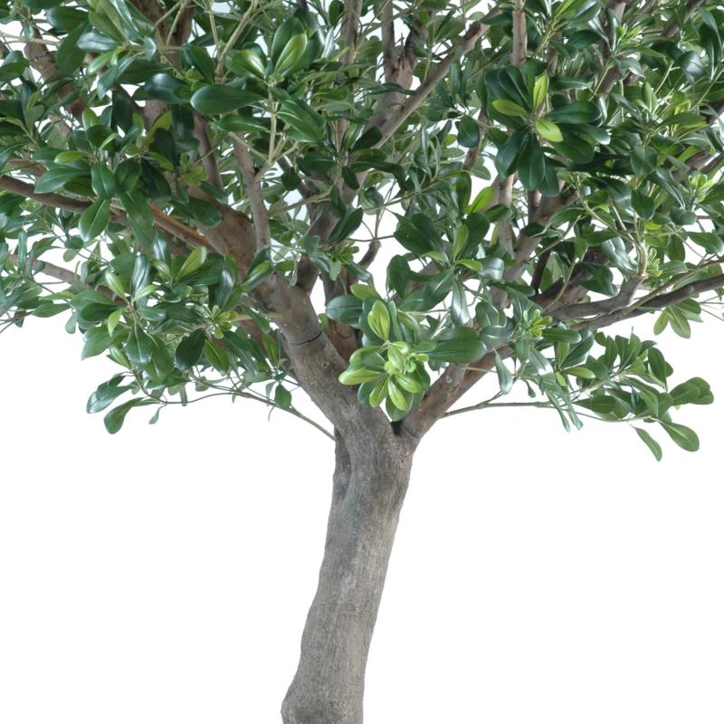 Pittosporum Artificiel Arbre
