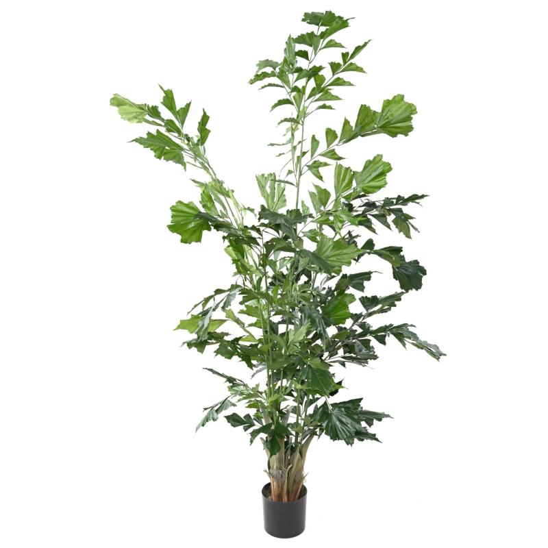 Caryota Artificiel