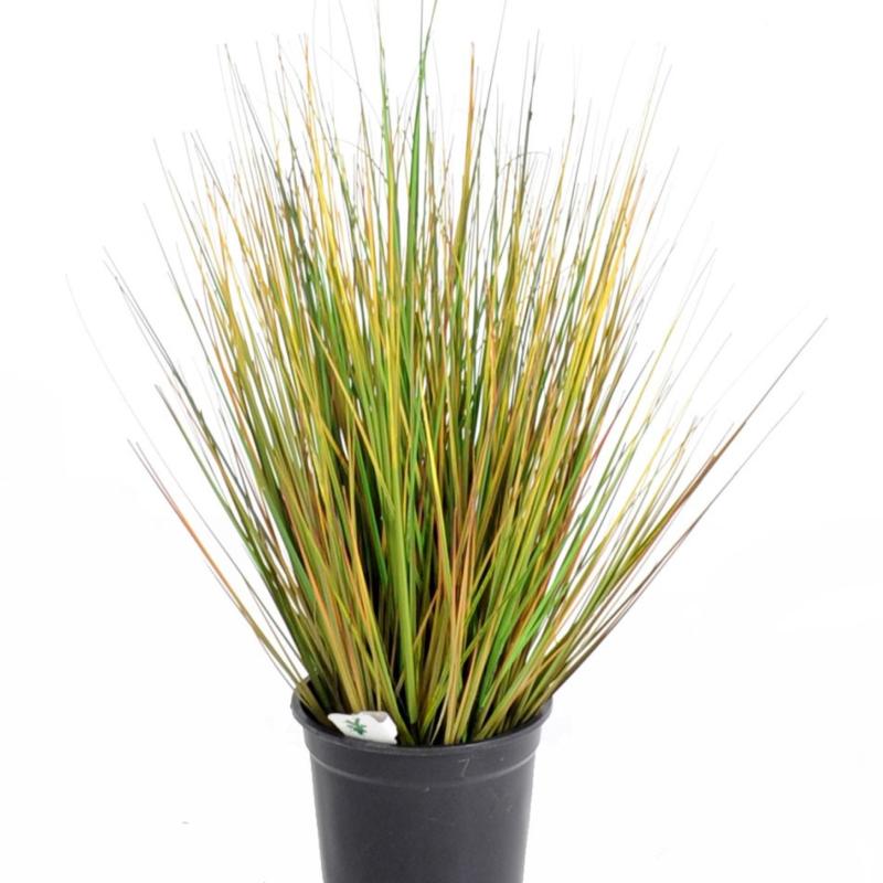 Onion Grass Artificiel GF
