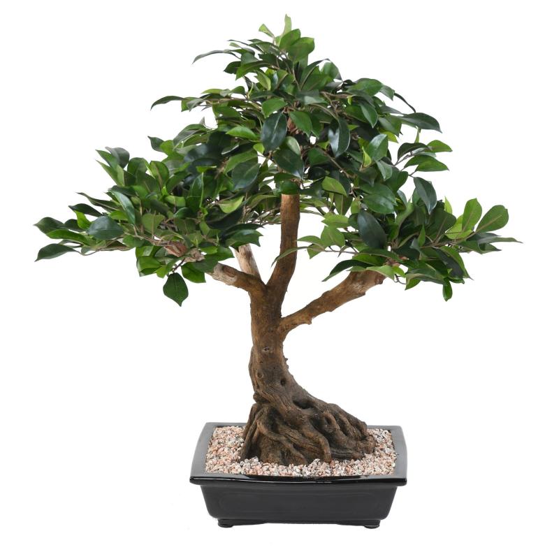 Bonsai Artificiel Ficus en Coupe