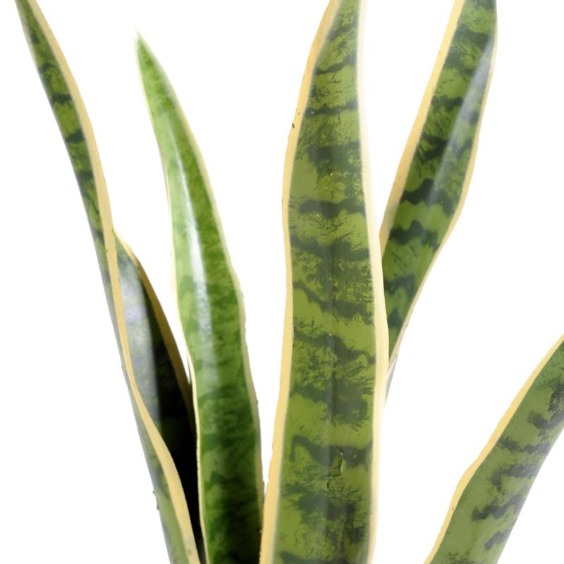 Sansevieria Artificiel Piquet MM