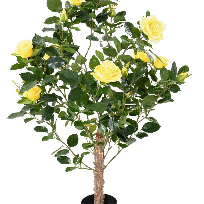 Rosier Artificiel Royal
