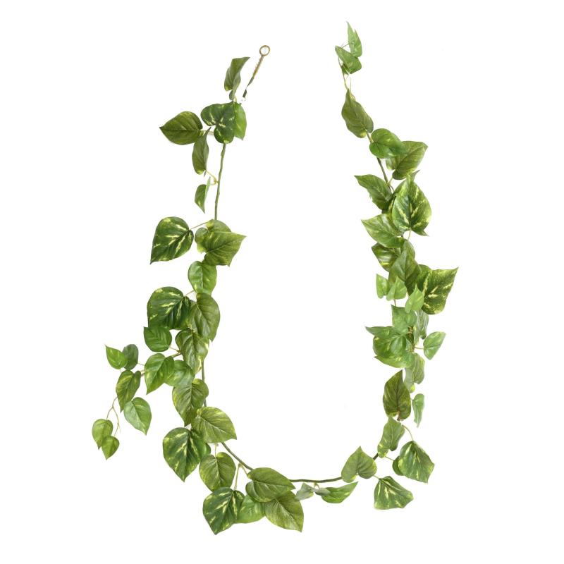 Pothos Artificiel Guirlande