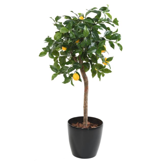 Citronnier Artificiel Tete