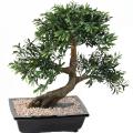 Bonsai Artificiel Black Willow en Coupe