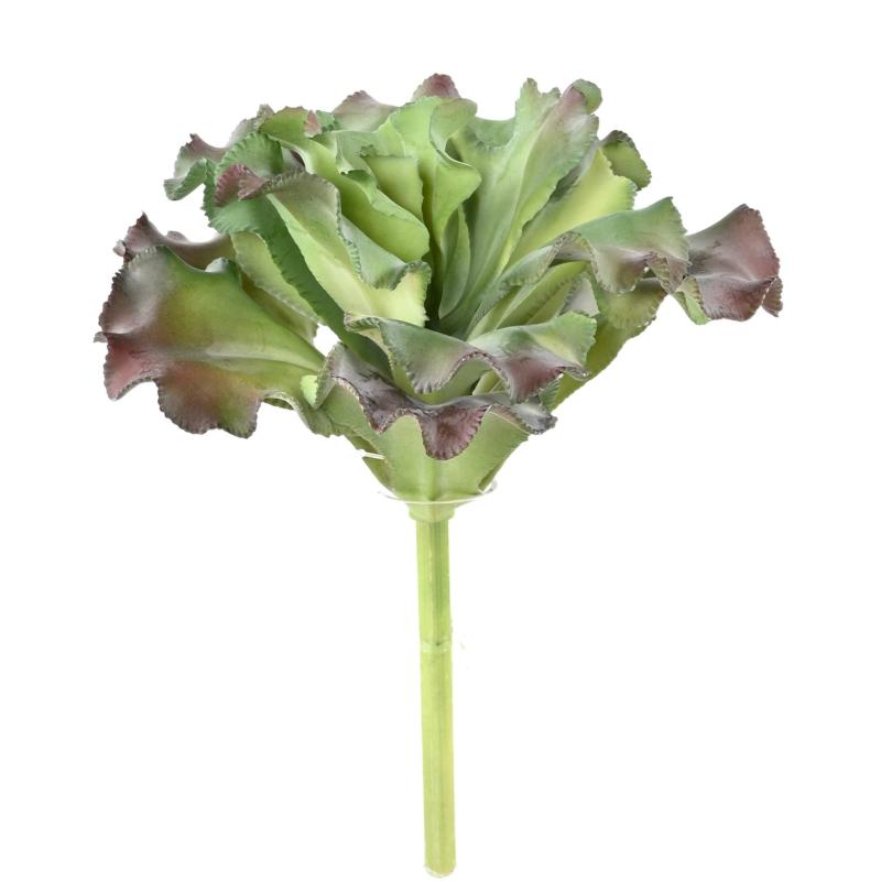 Succulente Artificielle 22