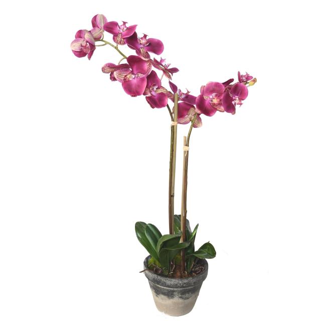 Phalaenopsis Artificielle Potted 85