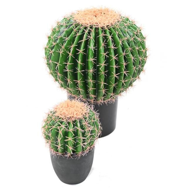 Cactus Artificiel Echino