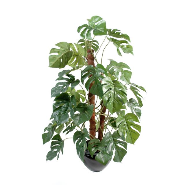 Philodendron Artificiel Tuteur Coco
