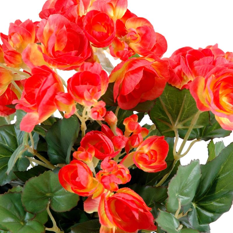Begonia Artificiel*92
