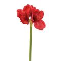 Amaryllis Artificielle
