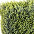 Cypres Artificiel Juniperus Haie Structure Metal
