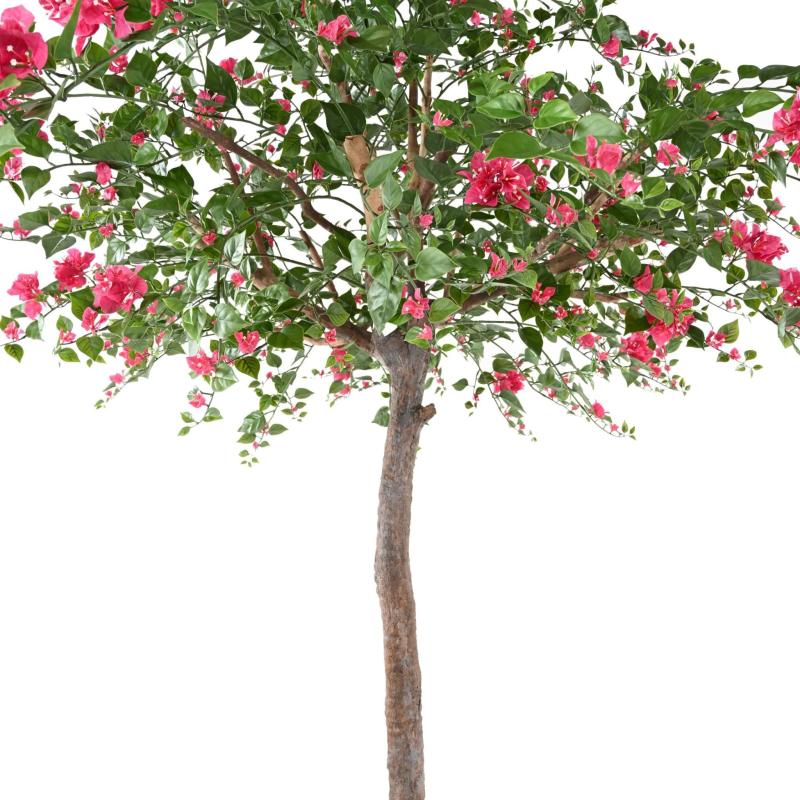 Bougainvillee Artificiel TREE