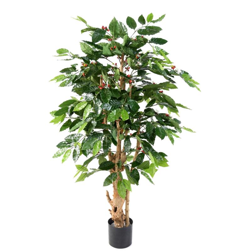 Cafeier Artificiel Fleurs Troncs Noueux