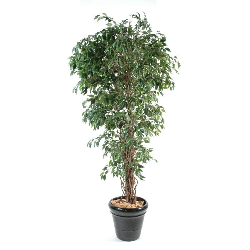 Ficus Artificiel Lianes PF