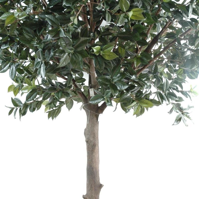 Fruitier Artificiel Platine (camelia Japonica Tree)