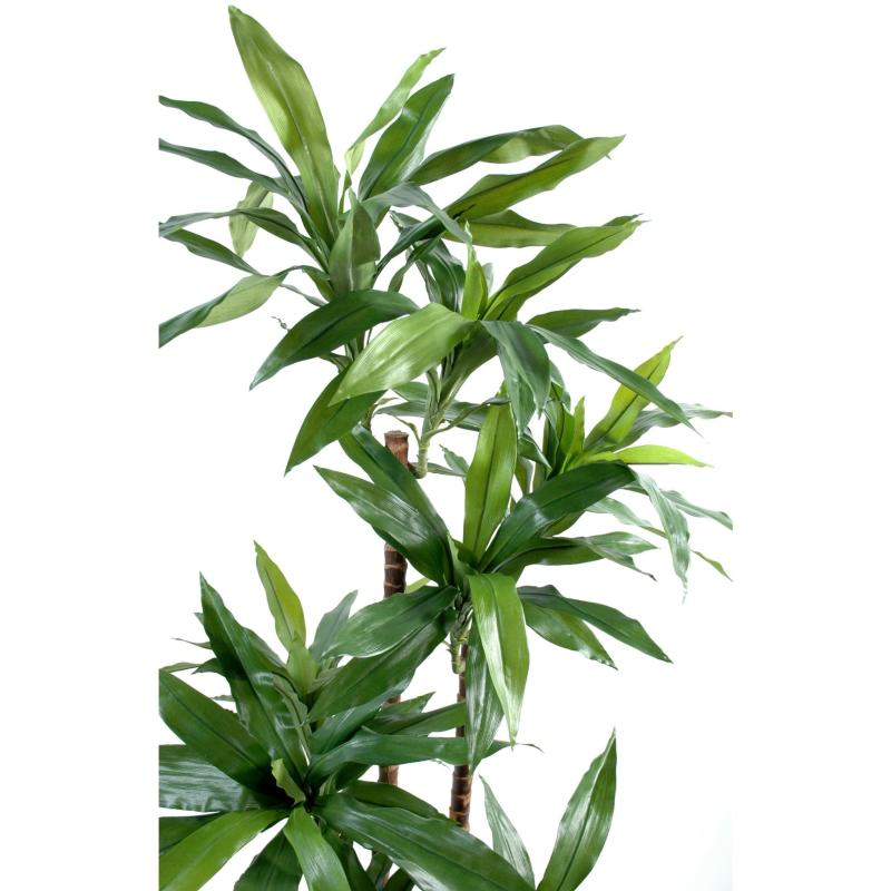 Dracaena Artificiel Fragrans Janet Craig