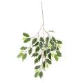 Ficus Artificiel Fat Spray*48