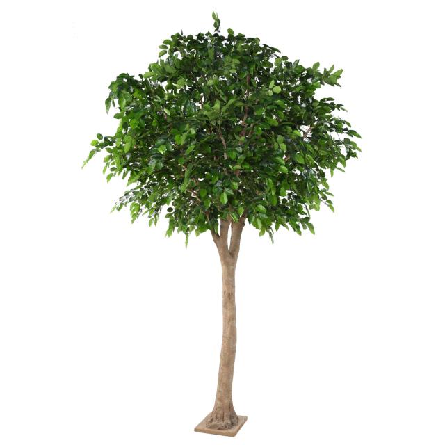 Hetre Artificiel Tete