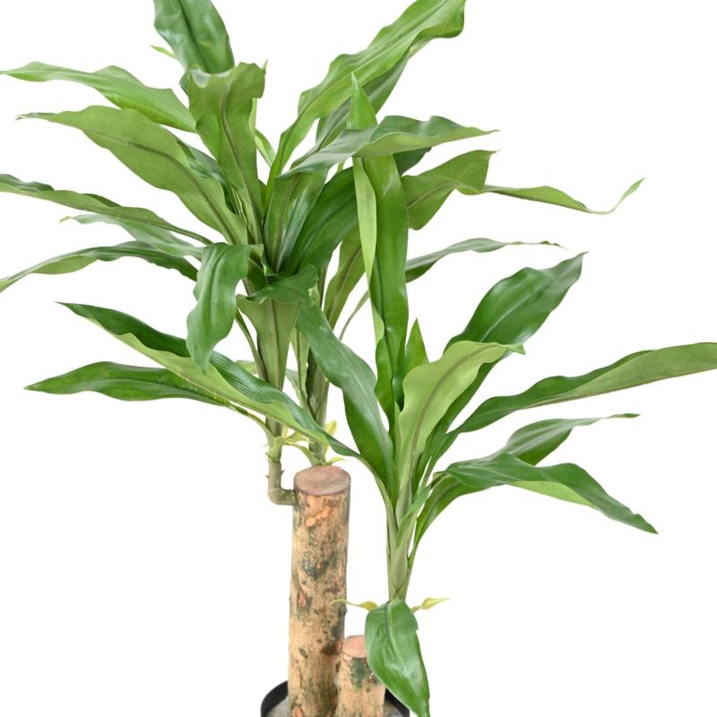 Dracaena Artificiel Fragrans Stud