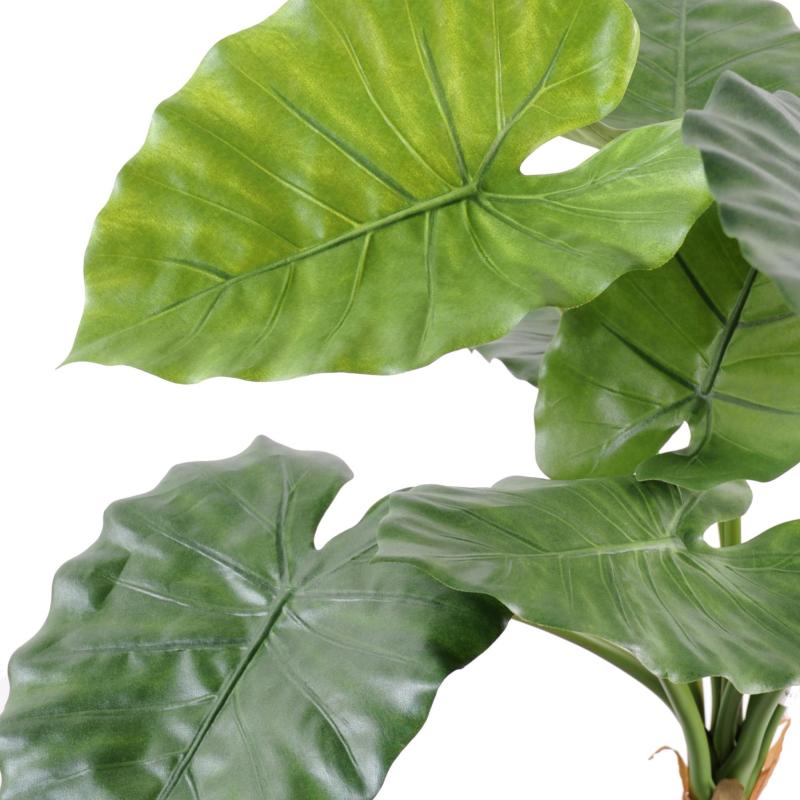 Alocasia Artificiel Calidora
