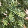 Sapin Artificiel Galloway