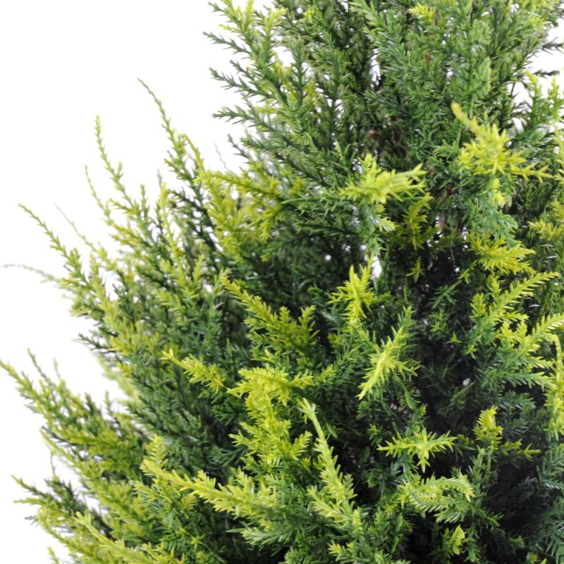 Cypres Artificiel Juniperus