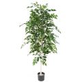 Bouleau Artificiel TB