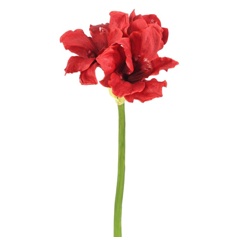 Amaryllis Artificielle 2fl 1bt