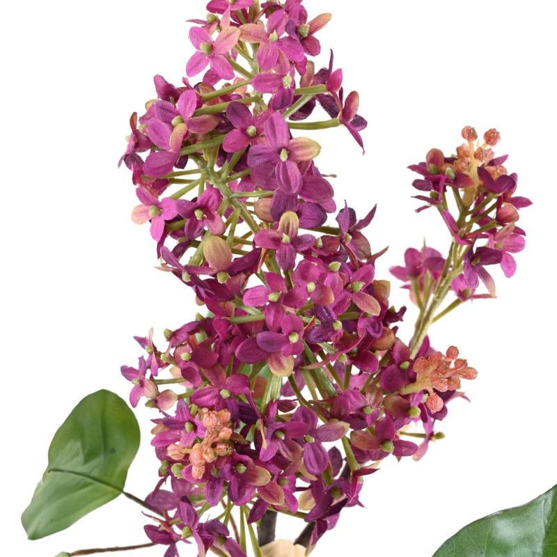 Lilas 82 Artificiel