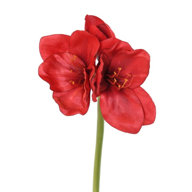 Amaryllis Artificielle