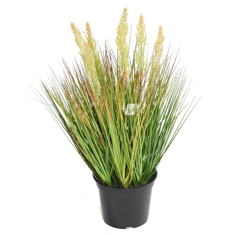 Onion Artificiel Grass Graine
