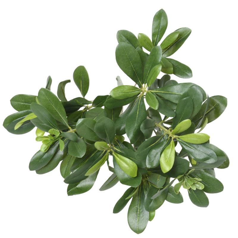 Pittosporum Artificiel Plant 38