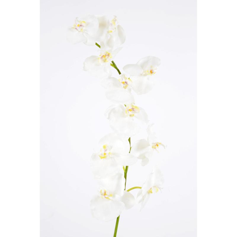 Phalaenopsis Artificielle Tige *10f