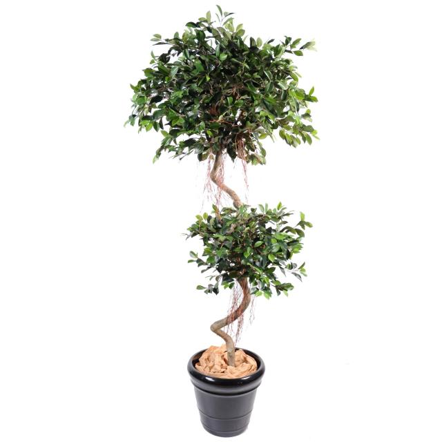 Ficus Artificiel Spirale 2 Boules