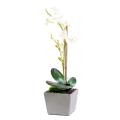 Phalaenopsis Artificielle Pot