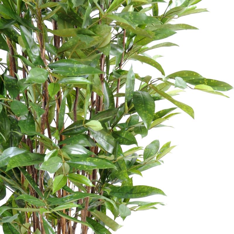 Dracaena Artificiel Surculosa