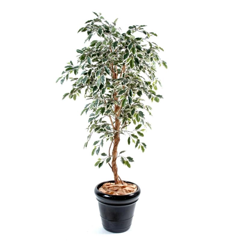 Ficus Artificiel Tronc Simple GF