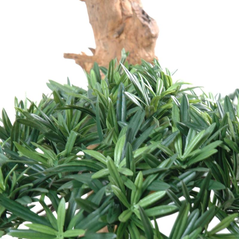 Podocarpus Artificiel Nuage Large