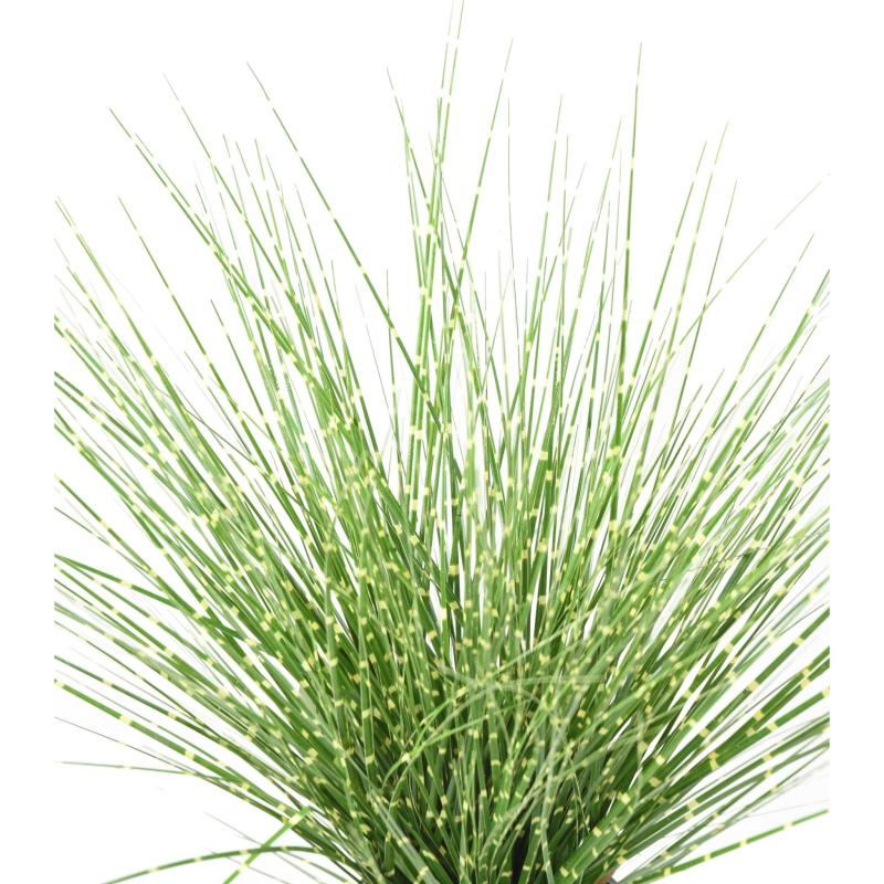 Miscanthus Artificiel Sinensis Zebrina