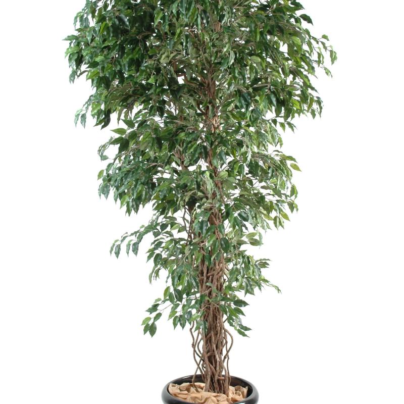 Ficus Artificiel Lianes PF
