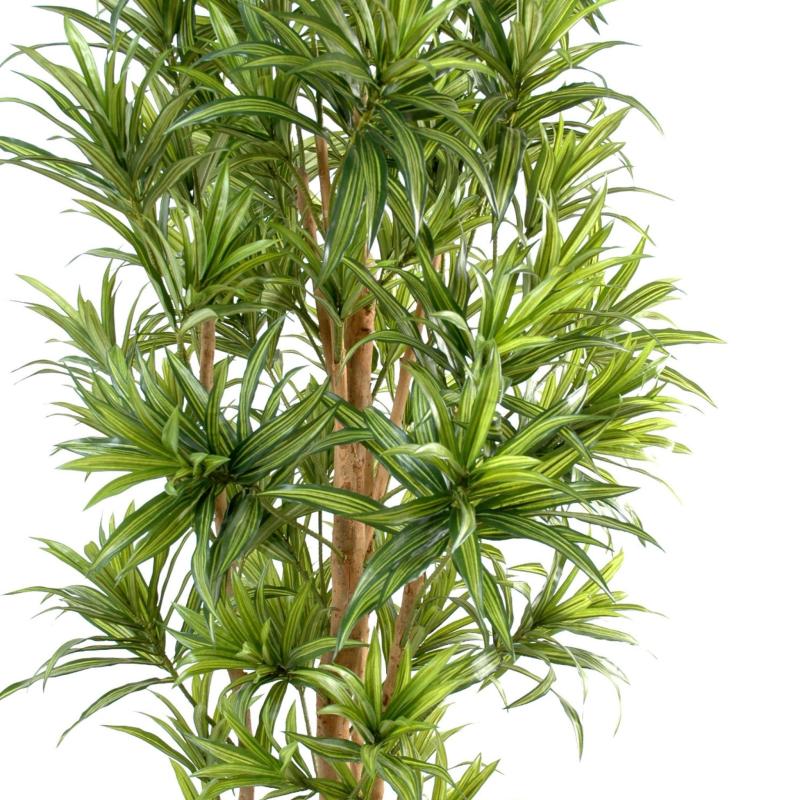 Dracaena Artificiel Reflexa