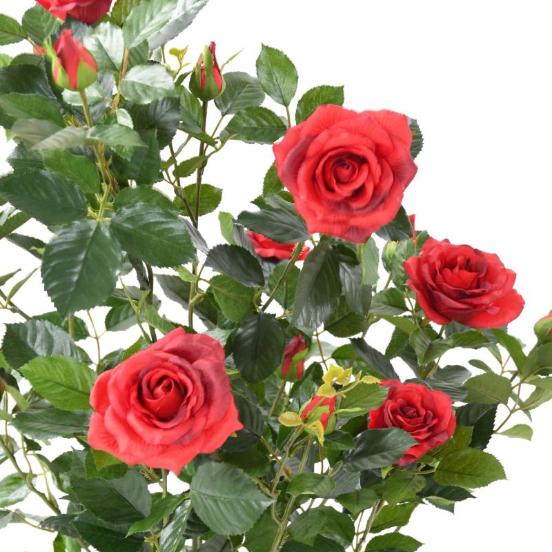 Rosier Artificiel Royal