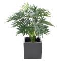 Philodendron Artificiel Selloum