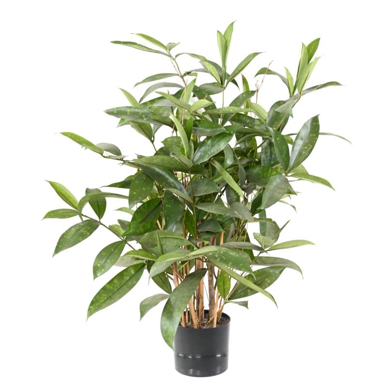 Dracaena Artificiel Surculosa Pot
