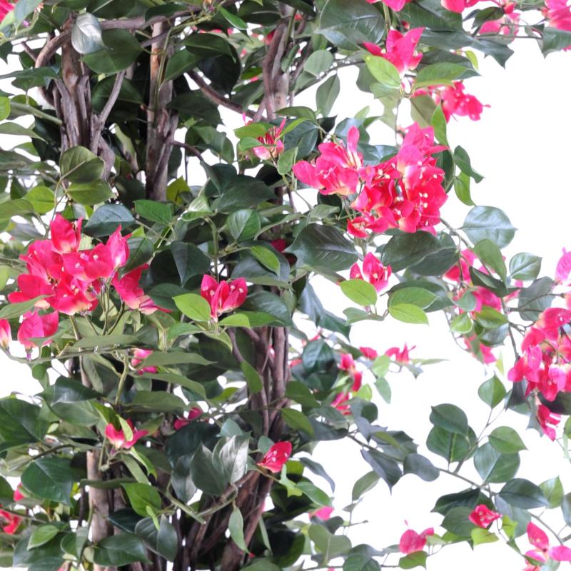 Bougainvillée Artificiel NEW Lianes